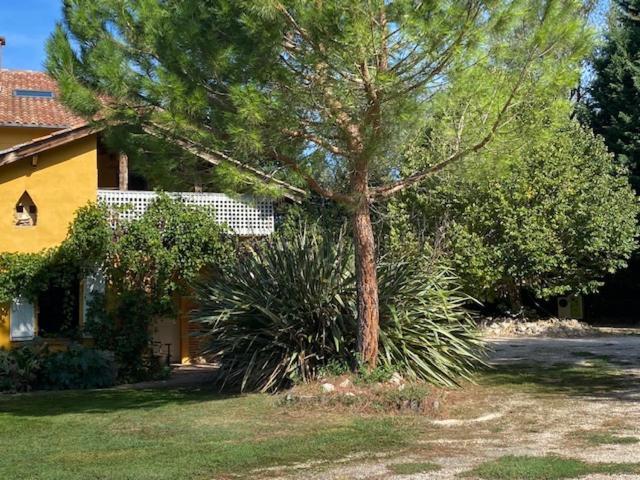 Le Gite De La Riviere - Samatan Exterior photo